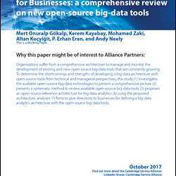 October Paper - Big Data Analytics Architecture for Businesses