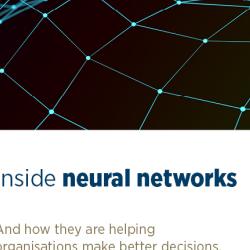 Inside neural networks