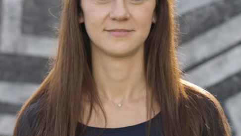 Podcast on Critical Incidents in Complex Service Contracts