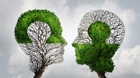 A Process for B2B Partnerships - designing to deliver capability across companies