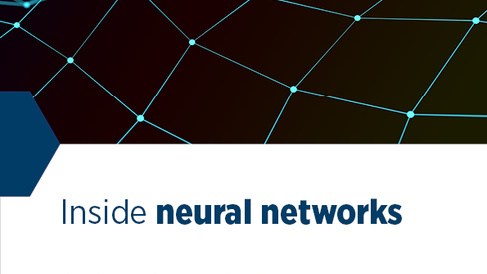 Inside neural networks