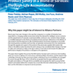 Product Safety in a World of Services: Through-Life Accountability