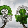 A Process for B2B Partnerships - designing to deliver capability across companies